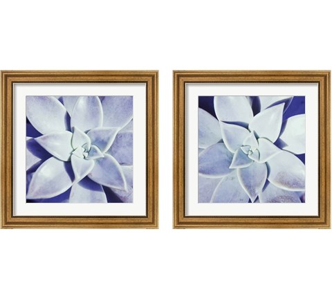 Ultra Violet 2 Piece Framed Art Print Set by Jason Johnson