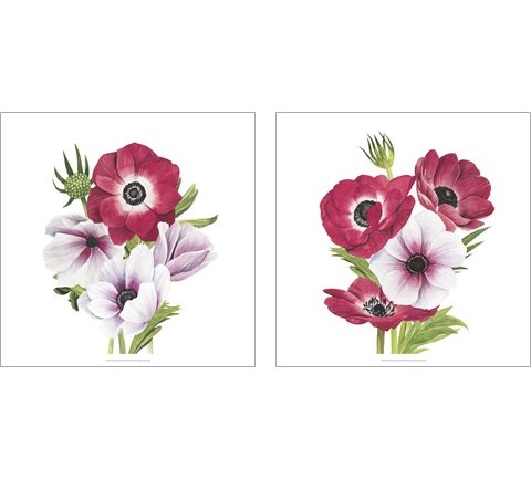 Anemone Blooms 2 Piece Art Print Set by Grace Popp
