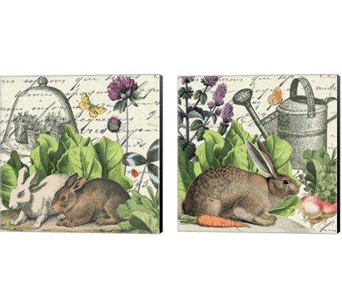 Garden Rabbit 2 Piece Canvas Print Set by Wild Apple Portfolio