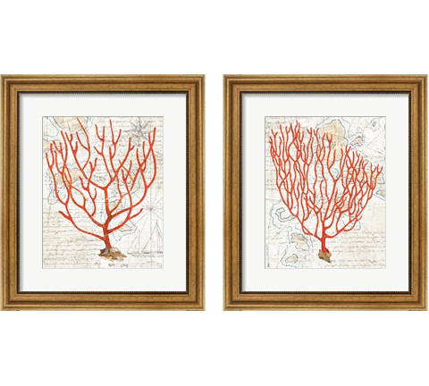 Textured Coral 2 Piece Framed Art Print Set by Avery Tillmon