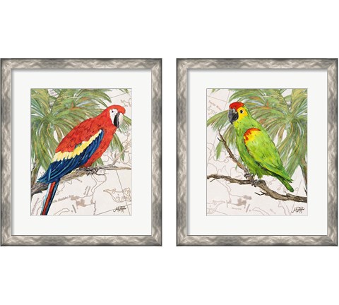 Another Bird in Paradise 2 Piece Framed Art Print Set by Julie DeRice