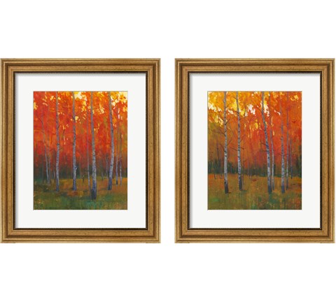 Changing Colors 2 Piece Framed Art Print Set by Timothy O'Toole