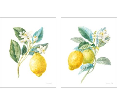 Floursack Lemon on White 2 Piece Art Print Set by Danhui Nai