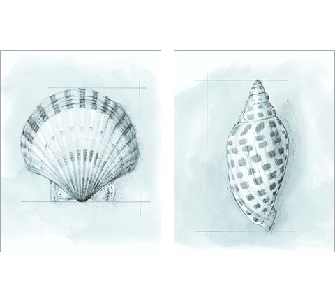 Coastal Shell Schematic 2 Piece Art Print Set by Megan Meagher