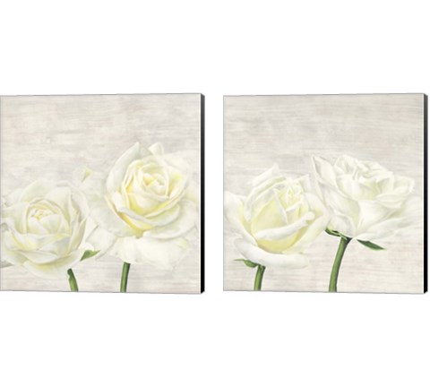 Classic Roses 2 Piece Canvas Print Set by Jenny Thomlinson