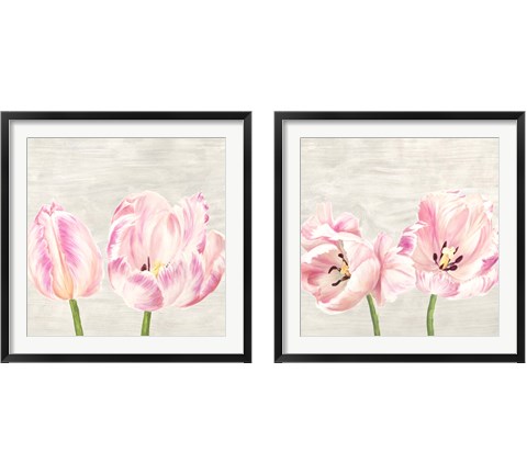 Classic Tulips 2 Piece Framed Art Print Set by Jenny Thomlinson