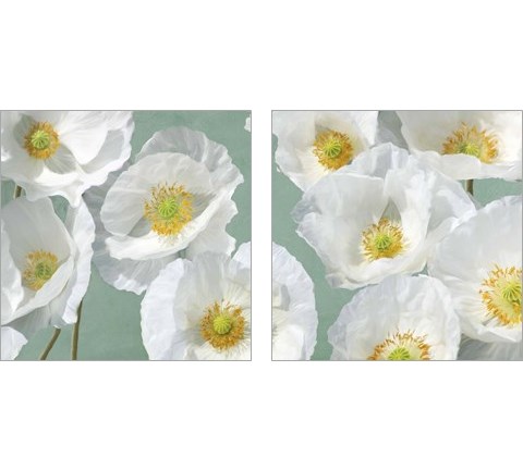 Poppies on Mint 2 Piece Art Print Set by Leonardo Sanna