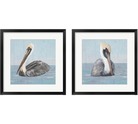 Pelican Wash 2 Piece Framed Art Print Set by Julie DeRice
