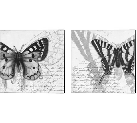 Butterfly Studies 2 Piece Canvas Print Set by Patricia Pinto