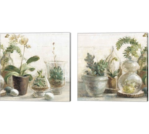 Greenhouse Orchids on Shiplap 2 Piece Canvas Print Set by Danhui Nai