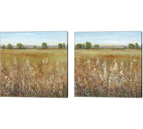 Abundance of Wildflowers 2 Piece Canvas Print Set by Timothy O'Toole