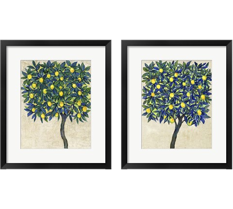 Lemon Tree Composition 2 Piece Framed Art Print Set by Timothy O'Toole