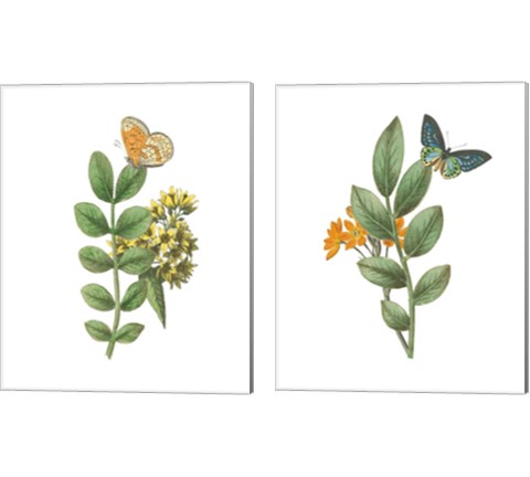 Greenery Butterflies 2 Piece Canvas Print Set by Wild Apple Portfolio