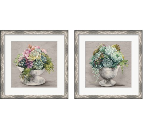 Festive Succulents Gray 2 Piece Framed Art Print Set by Julia Purinton