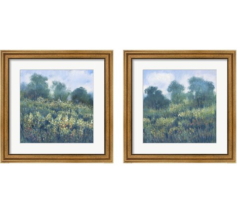 Meadow Wildflowers 2 Piece Framed Art Print Set by Timothy O'Toole