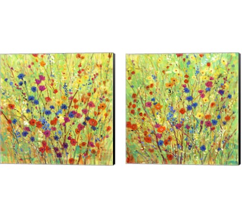 Wildflower Patch 2 Piece Canvas Print Set by Timothy O'Toole