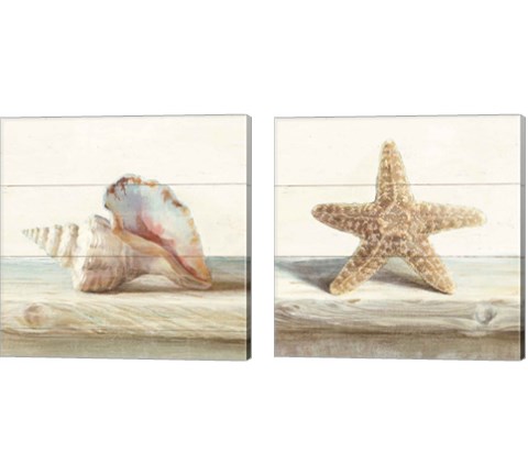 Driftwood Shell 2 Piece Canvas Print Set by Danhui Nai