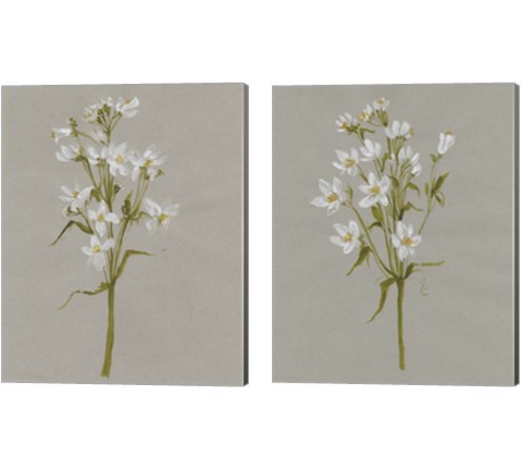 White Field Flowers 2 Piece Canvas Print Set by Jennifer Goldberger