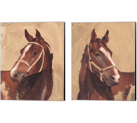 Thoroughbred 2 Piece Canvas Print Set by Jacob Green