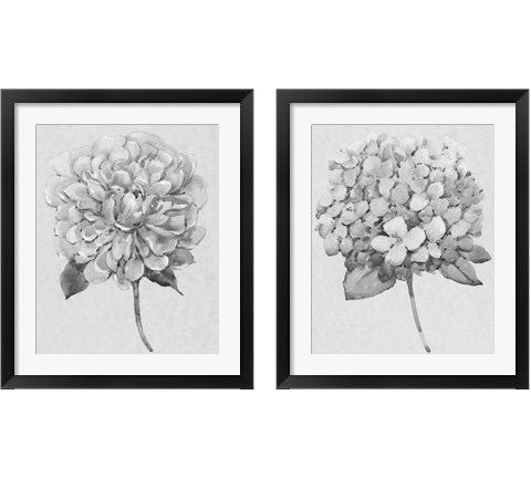 Silvertone Floral 2 Piece Framed Art Print Set by Timothy O'Toole