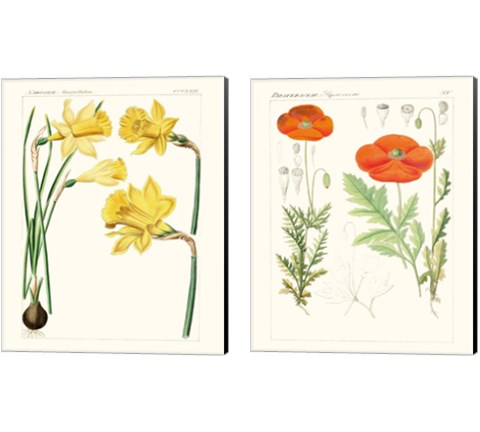 Bright Botanicals 2 Piece Canvas Print Set