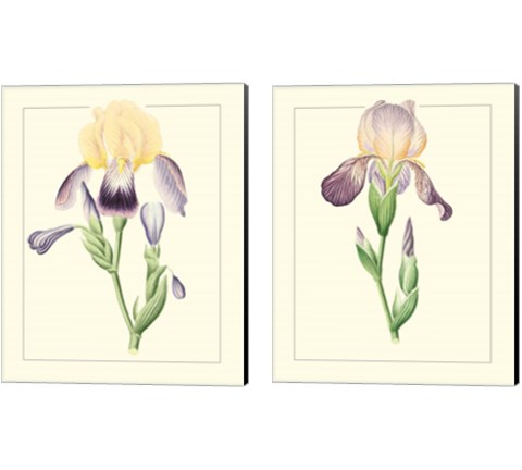 Purple Irises 2 Piece Canvas Print Set