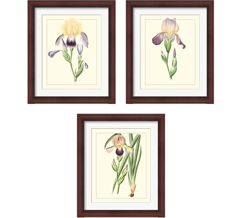 Purple Irises 3 Piece Framed Art Print Set
