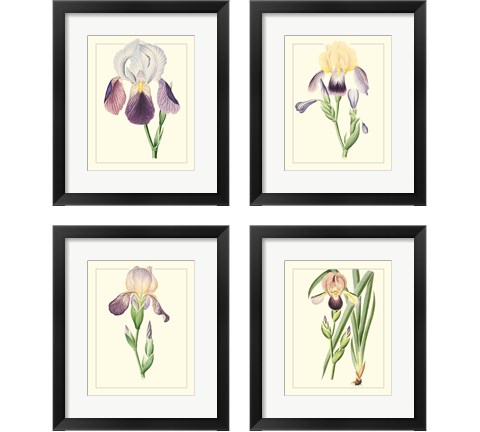 Purple Irises 4 Piece Framed Art Print Set