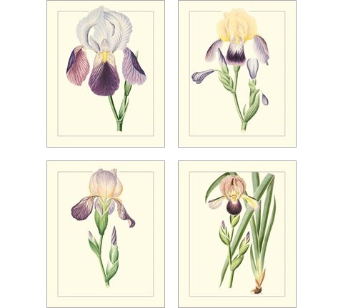 Purple Irises 4 Piece Art Print Set