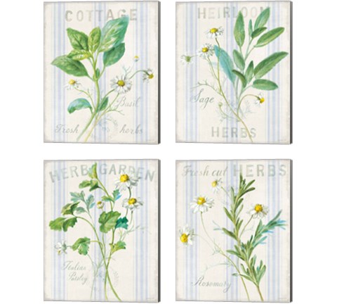 Floursack Herbs 4 Piece Canvas Print Set by Danhui Nai