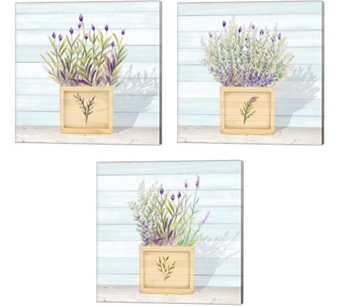 Lavender and Wood Square 3 Piece Canvas Print Set by Janice Gaynor