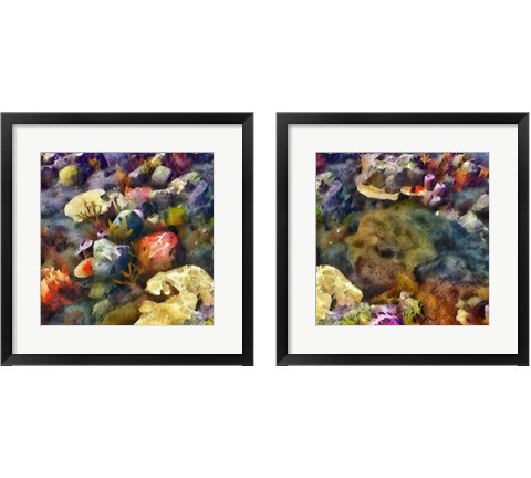 Sea Life 2 Piece Framed Art Print Set by Alonzo Saunders