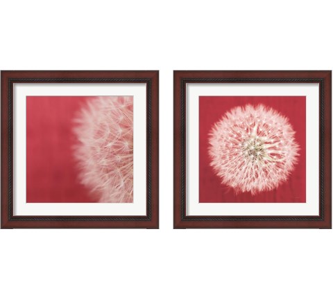 Dandelion on Red 2 Piece Framed Art Print Set by Aledanda