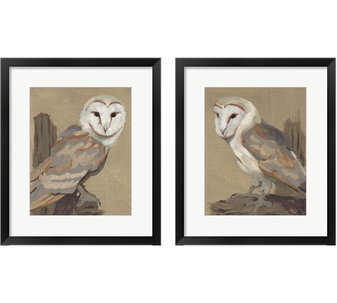 Common Barn Owl Portrait 2 Piece Framed Art Print Set by Jacob Green
