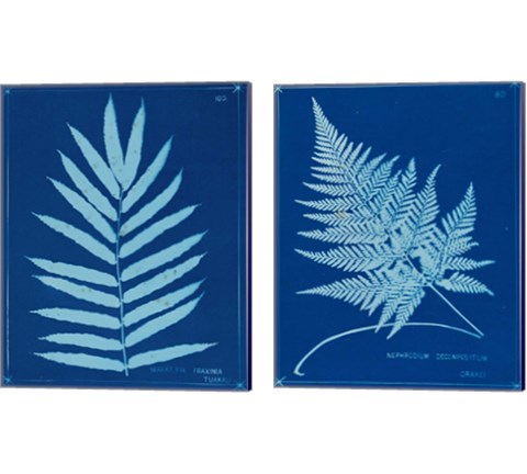 Cyanotype Ferns 2 Piece Canvas Print Set