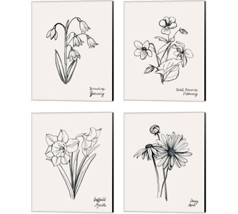 Annual Flowers 4 Piece Canvas Print Set by Grace Popp