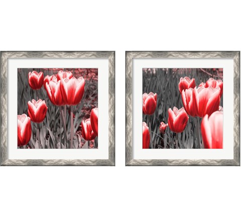 Red Tulips 2 Piece Framed Art Print Set by Emily Navas
