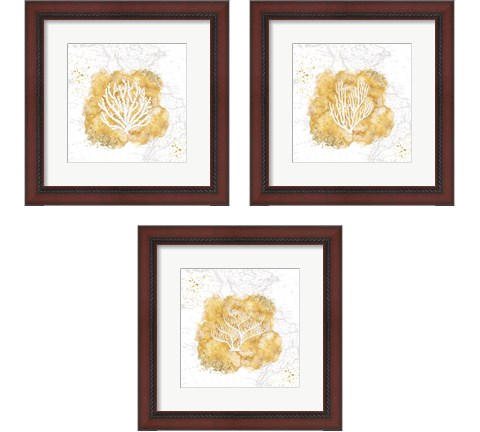 Golden Coral 3 Piece Framed Art Print Set by Jennifer Pugh