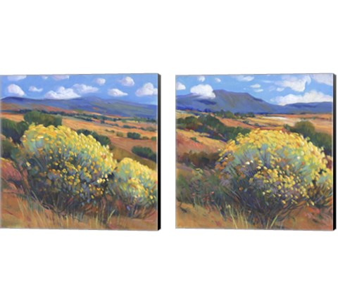 Chamisa 2 Piece Canvas Print Set by Timothy O'Toole