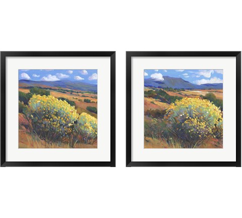 Chamisa 2 Piece Framed Art Print Set by Timothy O'Toole