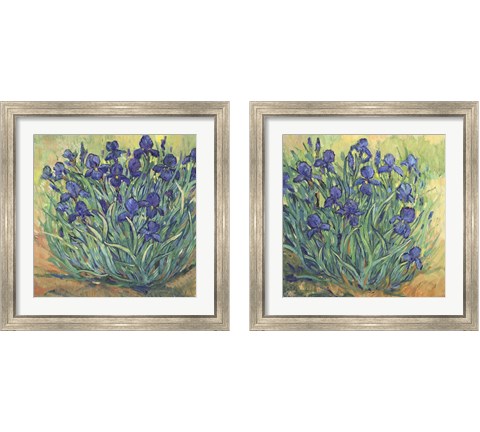 Irises in Bloom 2 Piece Framed Art Print Set by Timothy O'Toole
