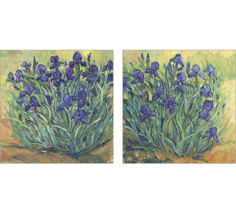 Irises in Bloom 2 Piece Art Print Set by Timothy O'Toole