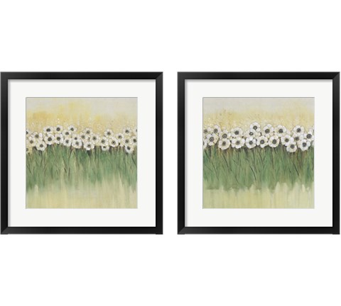 Rows of Flowers 2 Piece Framed Art Print Set by Timothy O'Toole