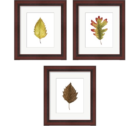 Fall Leaf Study 3 Piece Framed Art Print Set by Grace Popp