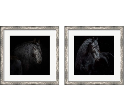 Equine Portrait 2 Piece Framed Art Print Set by PHBurchett