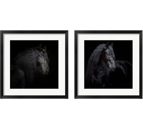 Equine Portrait 2 Piece Framed Art Print Set by PHBurchett