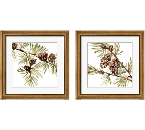 Simple Pine Cone 2 Piece Framed Art Print Set by June Erica Vess