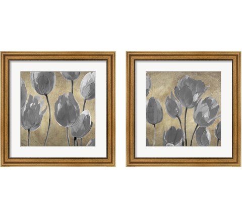 Grey Tulips 2 Piece Framed Art Print Set by Luca Villa