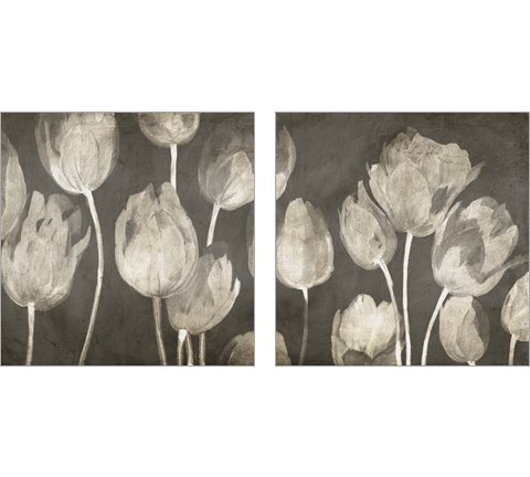 Washed Tulips 2 Piece Art Print Set by Luca Villa