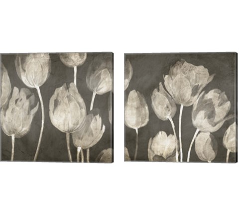 Washed Tulips 2 Piece Canvas Print Set by Luca Villa